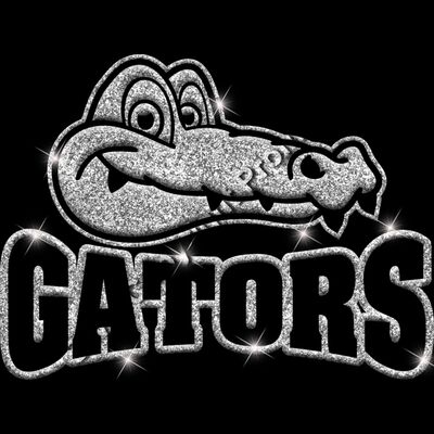 GLT32 SILVER GLITTER Thumbnail