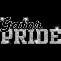 GLT59 SILVER GLITTER Thumbnail